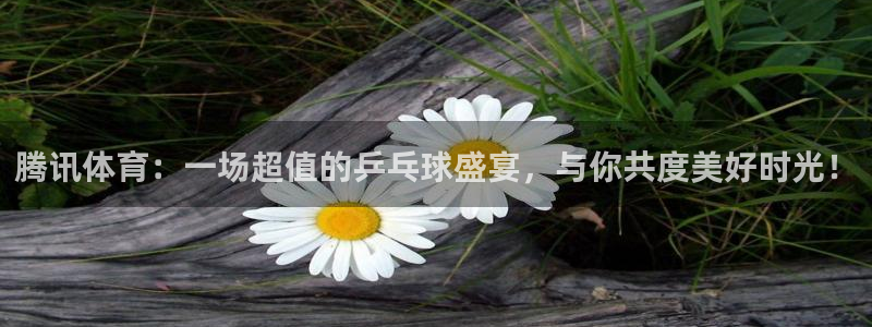 蜘蛛直播nba免费观看：腾讯体育：一场超值的乒乓球盛宴，与你共度美好时光！