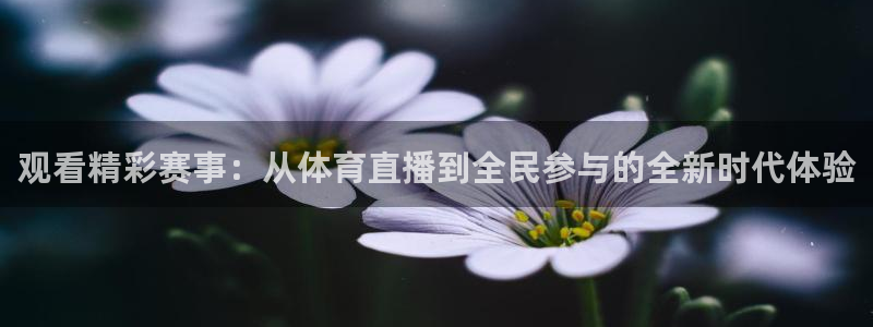 蜘蛛篮球：观看精彩赛事：从体育直播到全民参与的全新时代体验