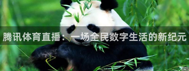 蜘蛛直播体育足球：腾讯体育直播：一场全民数字生活的新纪元