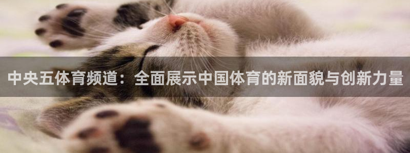 蜘蛛直播体育免费观看：中央五体育频道：全面展示中国体育的新面貌与创新力量