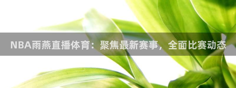 蜘蛛体育直播：NBA雨燕直播体育：聚焦最新赛事，全面比赛动态