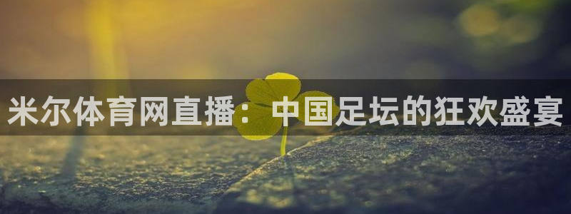 nba蜘蛛免费直播：米尔体育网直播：中国足坛的狂欢盛宴