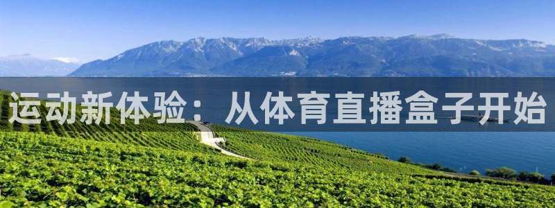 蜘蛛体育直播在线直播：运动新体验：从体育直播盒子开始