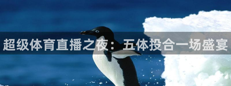 蜘蛛直播nba免费观看：超级体育直播之夜：五体投合一场盛宴