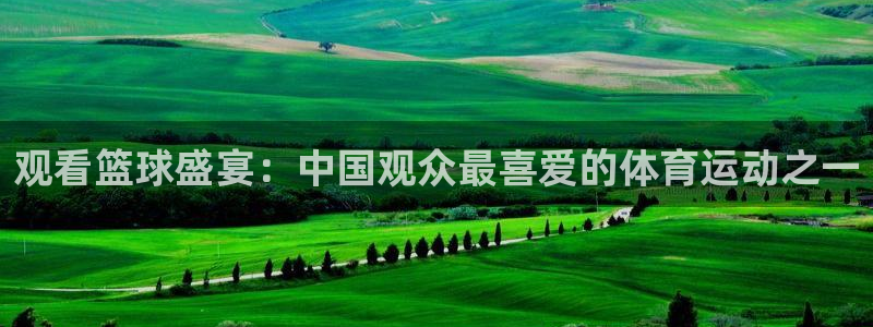 nba蜘蛛直播：观看篮球盛宴：中国观众最喜爱的体育运动之一