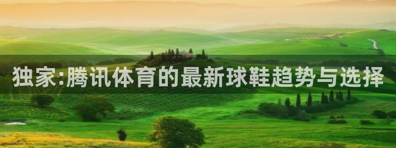 蜘蛛nba直播：独家:腾讯体育的最新球鞋趋势与选择