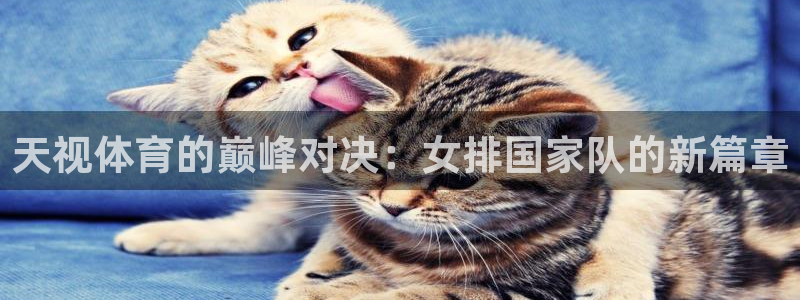 nba蜘蛛直播免费直播在线直播：天视体育的巅峰对决：女排国家队的新篇章