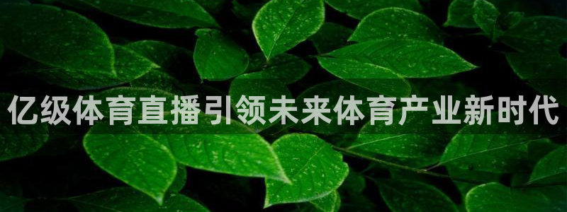 蜘蛛体育官网入口