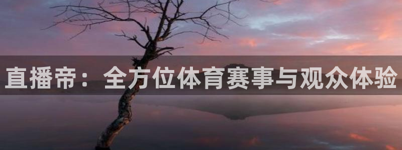 nba直播免费观看直播在线蜘蛛直播
