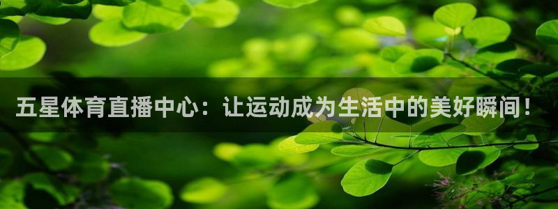 蜘蛛体育nba：五星体育直播中心：让运动成为生活中的美好瞬间！